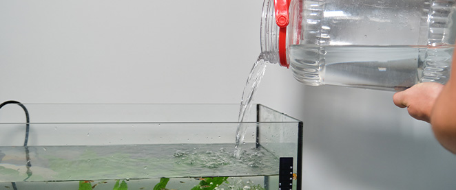 A person pours water from a clear plastic container into a home aquarium with green aquatic plants and small fish.