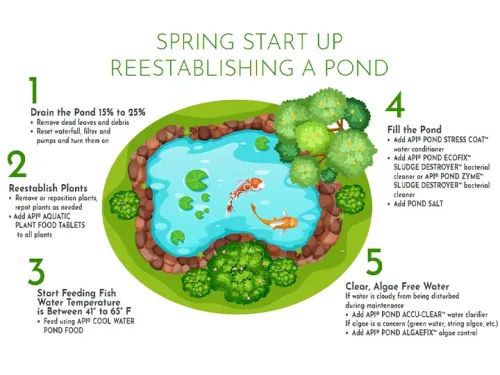 Spring_Start_Up
